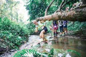 BIB: 
                            <button type="button" onclick="openModal(25461668)" class="btn btn-primary btn-sm float-right btn-popup" data-toggle="modal" data-target=".modal-high-quality">
                        <i class="fas fa-shopping-cart"></i> Add to Cart
                    </button>
                                            <button type="button" onclick="isThisMe(25461668, true)" class="btn btn-success btn-sm float-right btn-popup btn-isme hidden" data-toggle="tooltip" data-placement="bottom" title="นี่คือรูปของคุณใช่ไหม คลิกที่นี่เพื่อเอาเข้าอัลบั้ม">
                        <i class="fas fa-plus"></i> Add to album
                    </button>
                    <button type="button" onclick="isThisMe(25461668, false)" class="btn btn-warning btn-sm float-right btn-popup btn-isnotme hidden">
                        <i class="fas fa-ban"></i> Remove from album
                    </button>